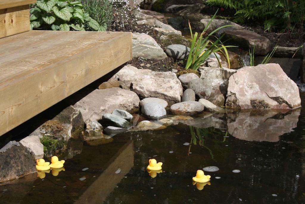 Balmillig B&B Helensburgh Dış mekan fotoğraf