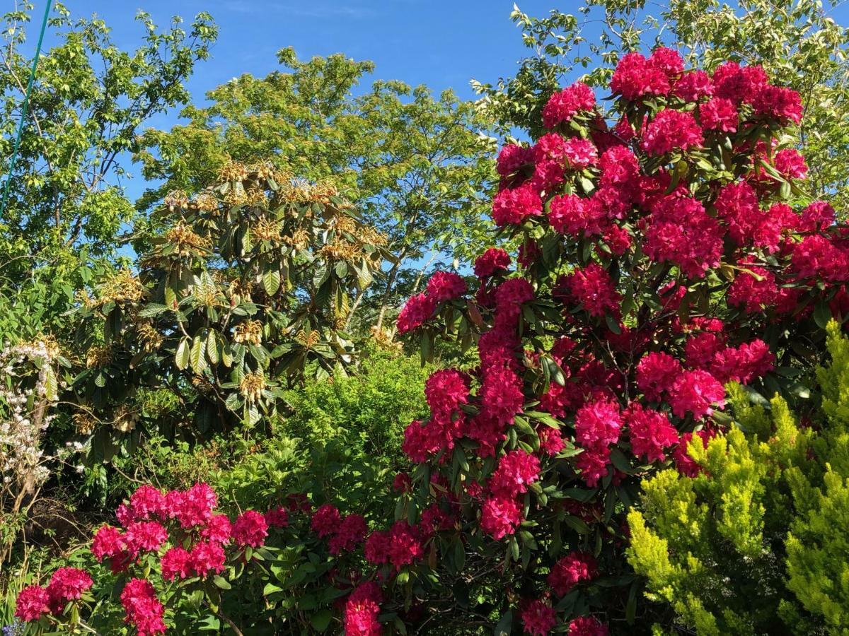 Balmillig B&B Helensburgh Dış mekan fotoğraf